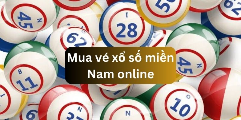 Tìm hiểu về các bước mua vé xổ số miền Nam online